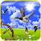 Free Entertainment Games - Game 3