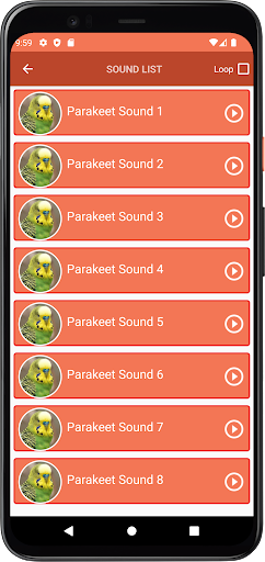 Parakeet Sounds Screen 3