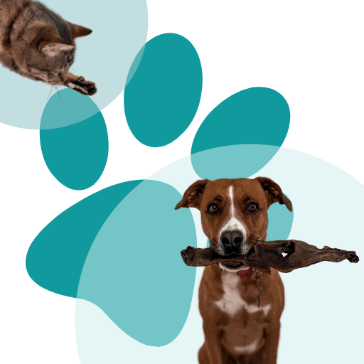 KIMOPET logo