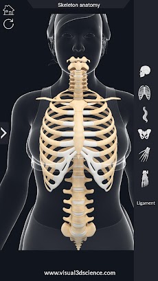 Skeleton Anatomy Pro.のおすすめ画像5
