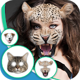Animal Faces - Face Morphing icon