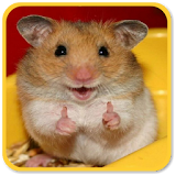 Hamster Sounds icon