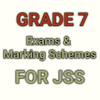 Grade 7 Exams -JSS