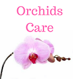 Orchid Care icon