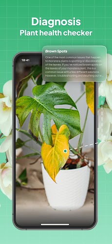 LeafSnap Plant Identificationのおすすめ画像3