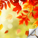Baixar Hidden Object - Autumn Garden Instalar Mais recente APK Downloader