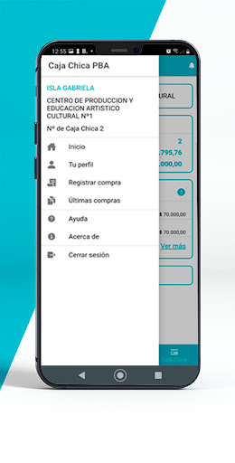 Caja Chica PBA Screen 3