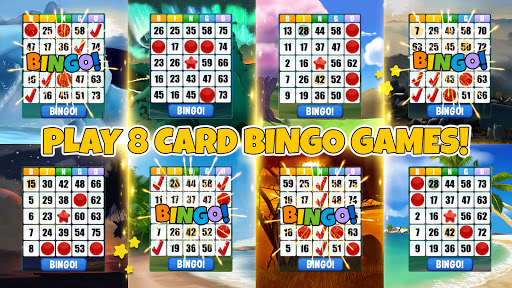 Absolute Bingo  screenshots 1