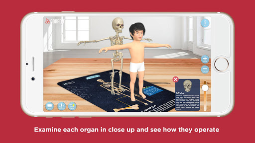 Know our Anatomy by OOBEDU Screen 3