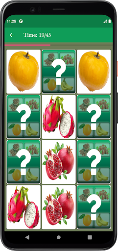 Fruit Memory Matching Game