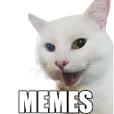 Memes de Gatos WASticker