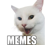 Cover Image of Tải xuống Cat Memes WASticker 1.0 APK