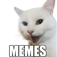 ? Новые кошки мемы 2021 (WAStickerApps)