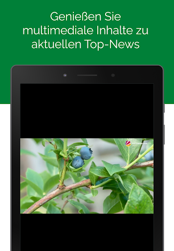 Costa Nachrichten screenshot 5