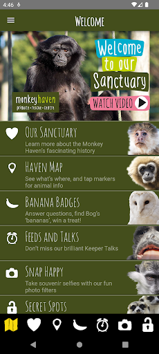 Monkey Haven Screen 2
