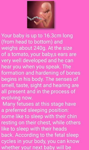 Pregnancy Calculation Screen 3