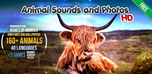 Animal Sounds - Apps on Google Play