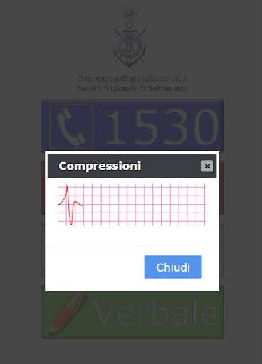 SNS Rapporto di Salvataggio Screen 2