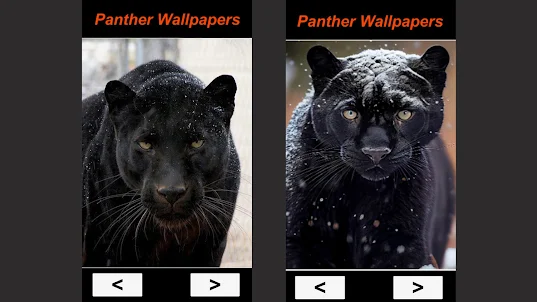Black Panther Sim Wallpaper 4K