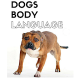 DOGS BODY LANGUAGE icon