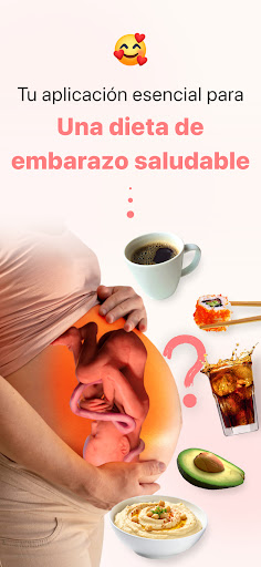 Vista previa de la aplicación