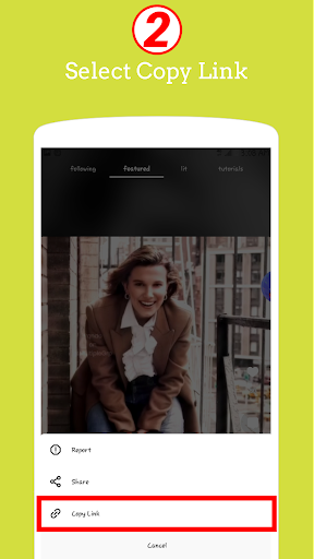 Lite Video Downloader for Funi Screen 2