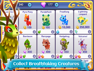 Game screenshot Fantasy Forest: Magic Masters! apk download