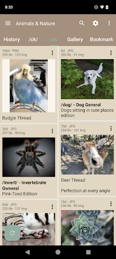 Android application Read Chan - 4chan Reader screenshort