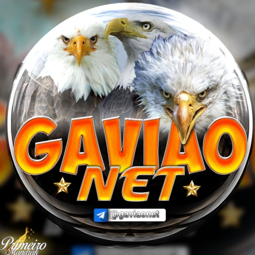 GAVIÃO NET Install on Windows