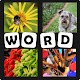 4 Pics 1 Word 2021 Download on Windows