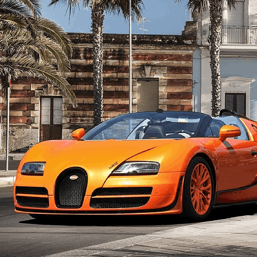 Bugatti Veyron Full Car Race