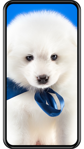 Dog Wallpaper Screen 3