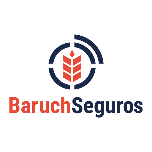 Baruch Seguros Digital logo