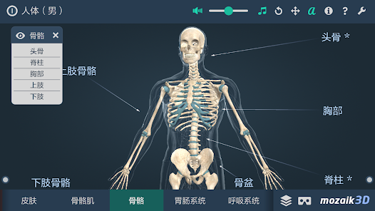 人体 男 互动教育3d Google Play 上的应用