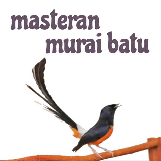 Masteran Murai Batu logo