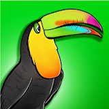 Jungles - Animals and Puzzles icon
