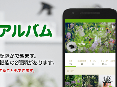 √画像をダウンロード 花 言葉 成長 264679-花言葉 成長