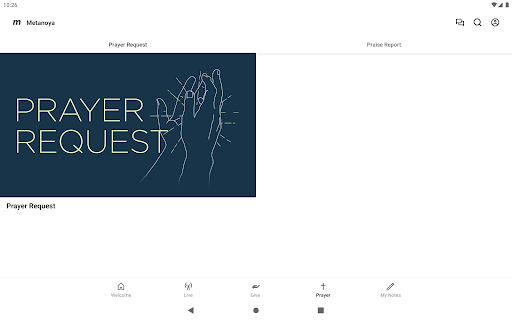 Screenshot of Metanoya