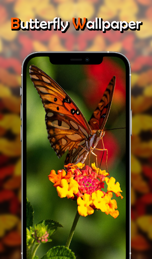 Butterfly Wallpapers Screen 2