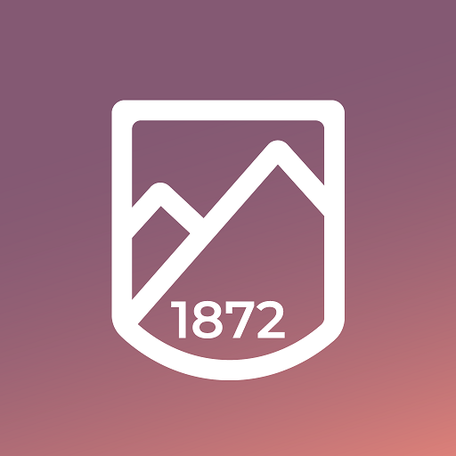 WH Ireland Wealth logo