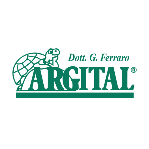 Turtle Point logo