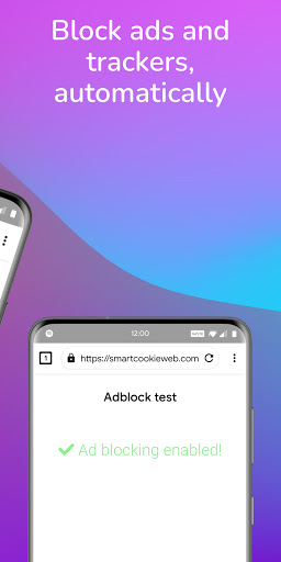 SmartCookieWeb Privacy Browser Screen 2