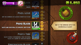 Game screenshot Fruit Ninja Classic+ apk download