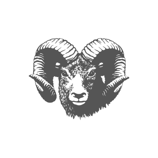 Ramsey CUSD 204, IL logo
