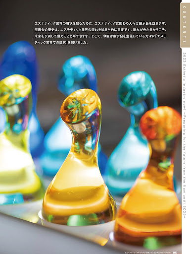 ヌーヴェル エステティック スパ日本版