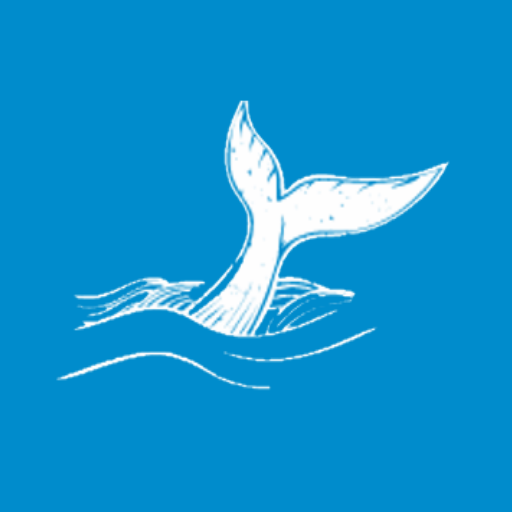 Bombimi CCR MOD logo