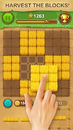 Farm Block Puzzle