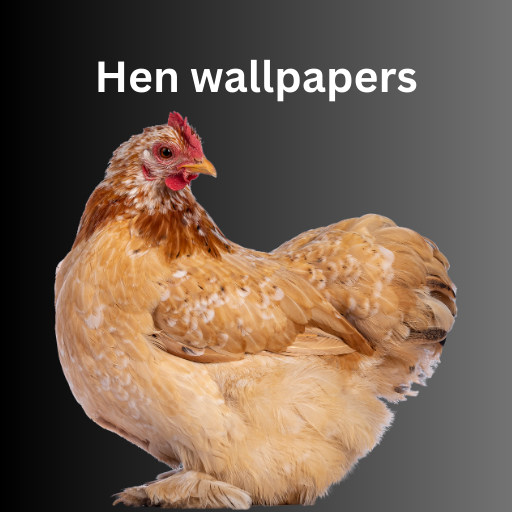 Hen wallpapers logo
