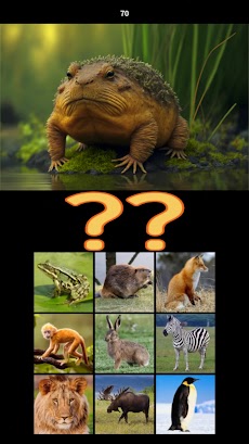 Hybrid Animals Crazy Lab Quizのおすすめ画像4