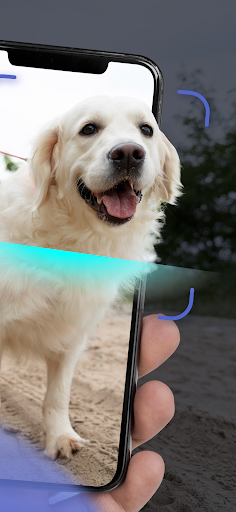 Dog Scanner: Breed Identifier Screen 2